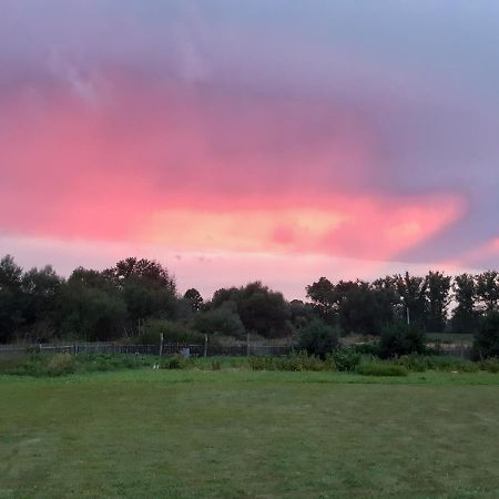 Agroturystyka Tam Gdzie Sosny Ścinawka Dolna المظهر الخارجي الصورة