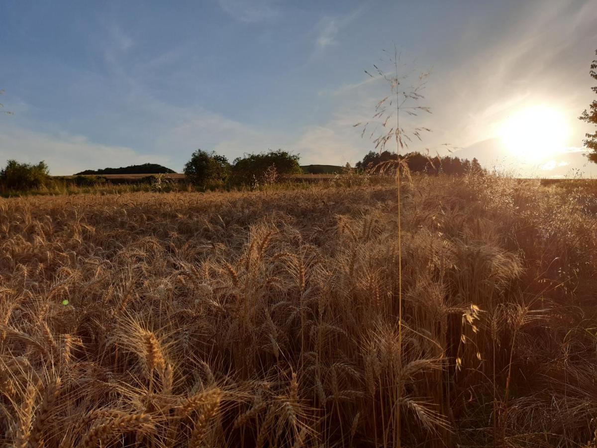 Agroturystyka Tam Gdzie Sosny Ścinawka Dolna المظهر الخارجي الصورة