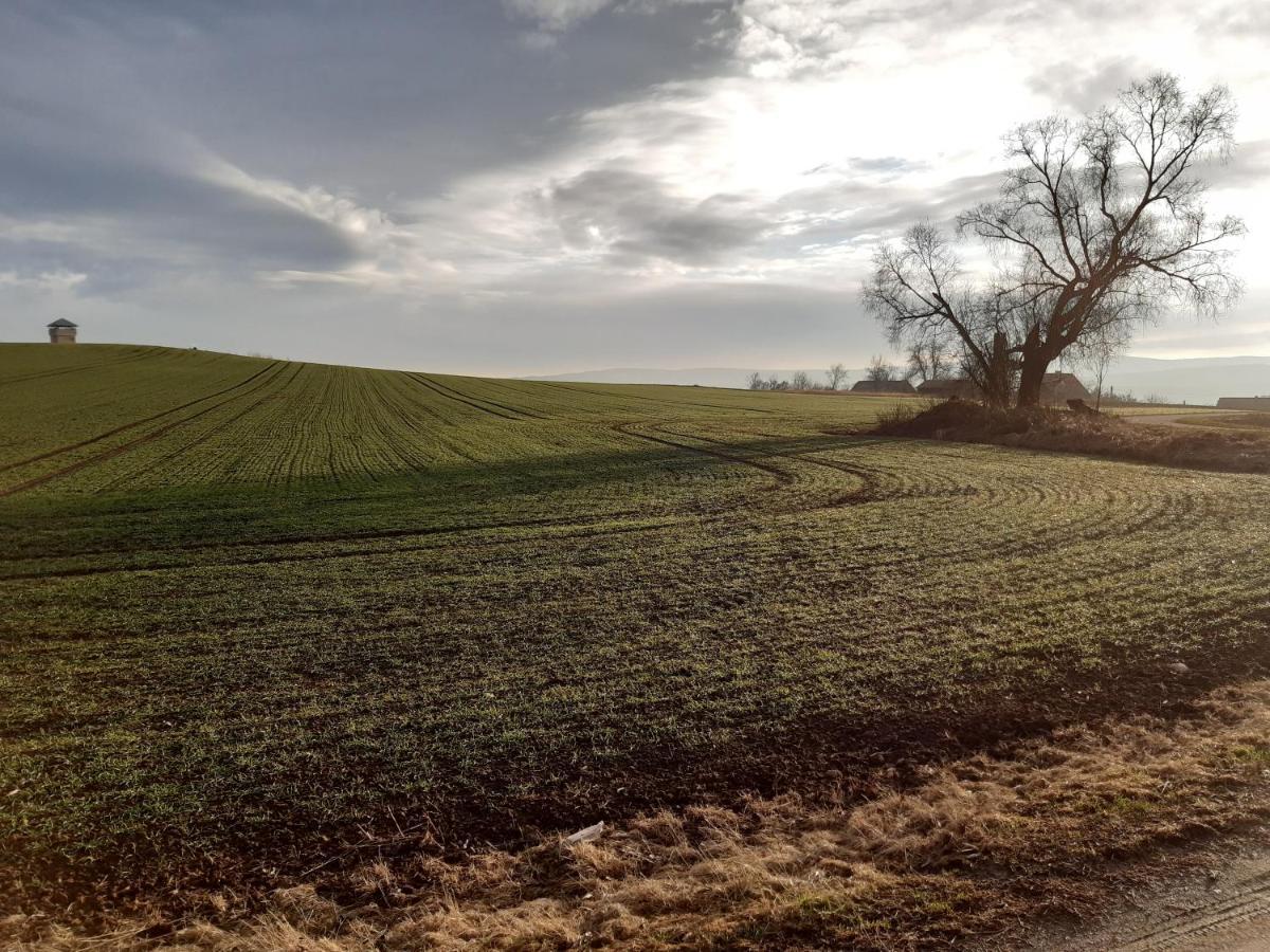 Agroturystyka Tam Gdzie Sosny Ścinawka Dolna المظهر الخارجي الصورة