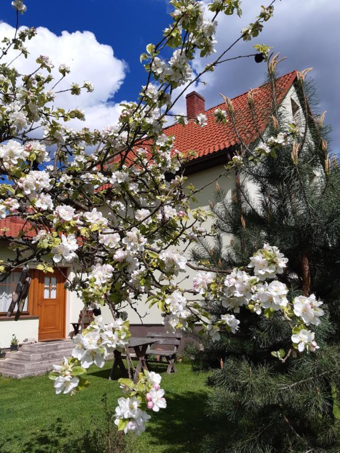 Agroturystyka Tam Gdzie Sosny Ścinawka Dolna المظهر الخارجي الصورة