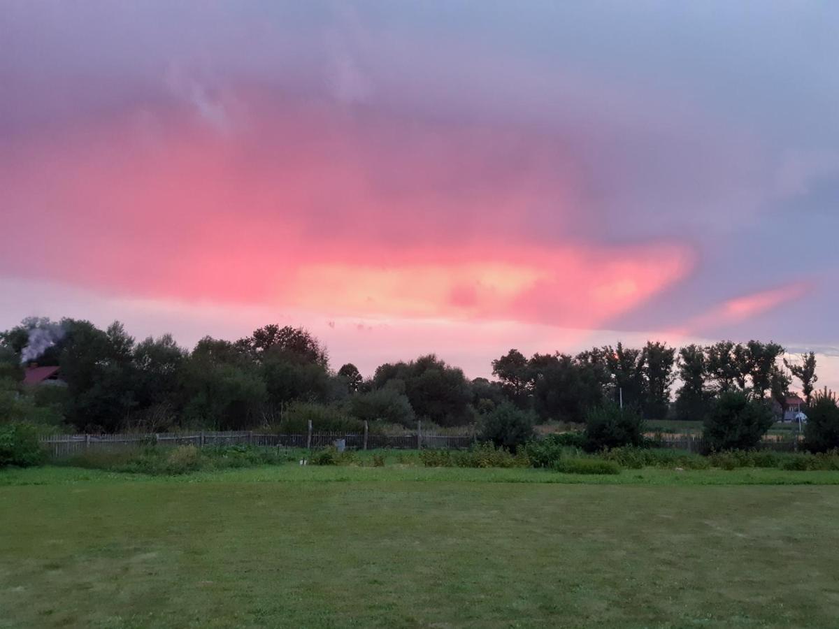 Agroturystyka Tam Gdzie Sosny Ścinawka Dolna المظهر الخارجي الصورة